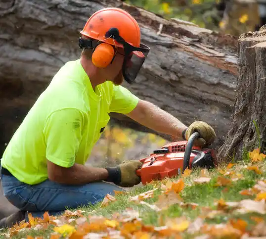 tree services Neffs